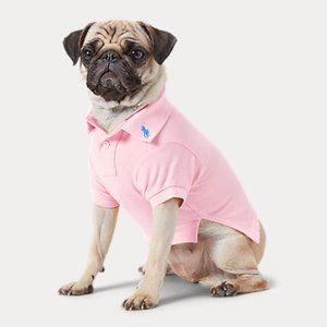 Cotton Mesh Dog Polo Shirt